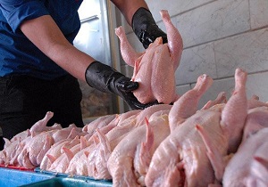 قیمت گوشت مرغ در بازار بین ۵۰ تا ۵۵ هزار تومان