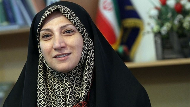 اجرای طرح ارتقاء امنیت زنان در تهران