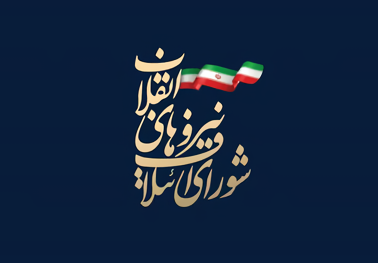 تصویب طرح نظارت بر منتخبان شوراهای شهر و مجلس