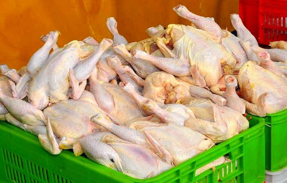 هشدار عجیب درباره آینده قیمت مرغ و گوشت : مرغ ۱۰۰ هزار تومان و گوشت قرمز ۲۰۰ تا ۲۵۰ هزار تومان