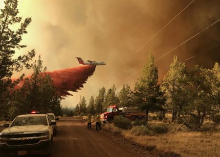 آتش سوزی جنگلی در آمریکا/ عکس
