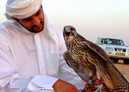قاچاق رسمی پرندگان ایرانی با مجوز محیط زیست