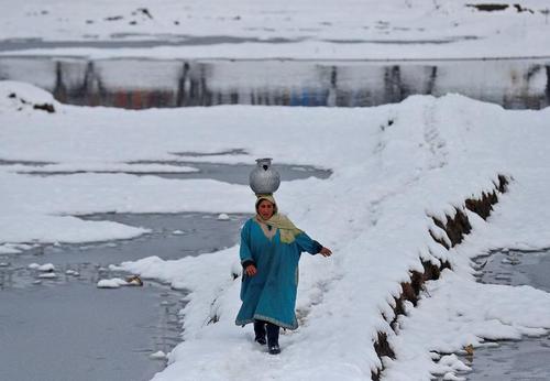 زن کشمیری در حال حمل آب میان برف/ عکس