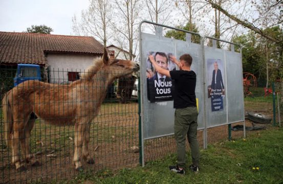 الاغ کنار پوستر دو نامزد ریاست جمهوری فرانسه/عکس