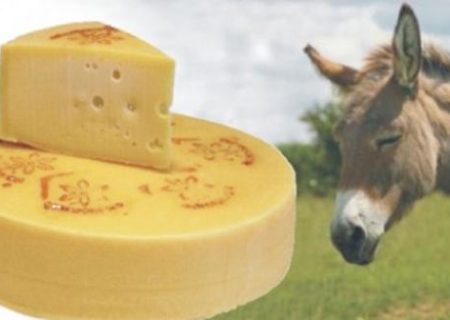 پنیر اشرافی الاغ در ایران هر کیلو ۲۵ میلیون تومان