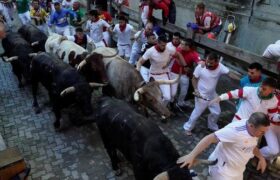 جشنواره سالانه گاوبازی در شمال اسپانیا