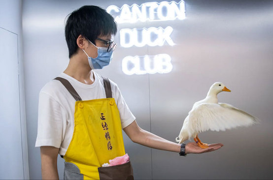 افتتاح نخستین فروشگاه اردک در گوآنگژو چین