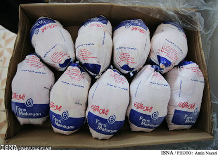 عرضه گسترده مرغ منجمد ۴۰ هزار تومانی در بازار