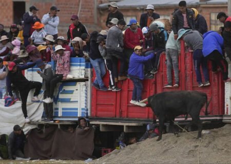 فرار مردم بولیوی از دست یک گاو وحشی/ آسوشیتدپرس