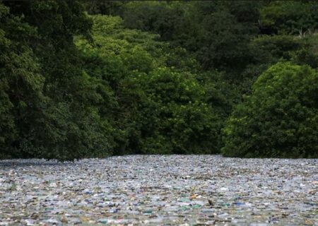 بطری های پلاستیکی در مخزن سدی در السالوادور