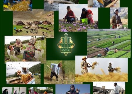 رشد ۶۹ درصدی تسهیلات پرداختی بانک کشاورزی